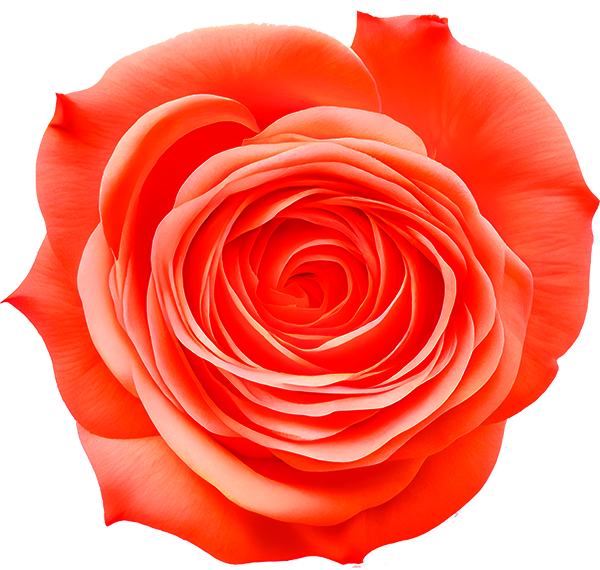 Bliss Nail Salon & Head Spa – Cumming, GA 30028